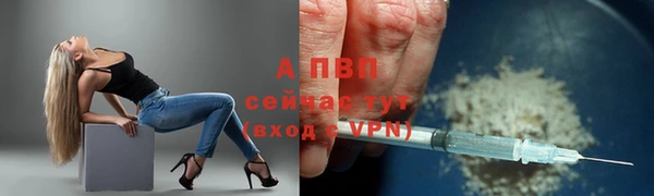 СК Барнаул