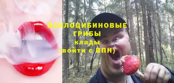 бошки Богородск