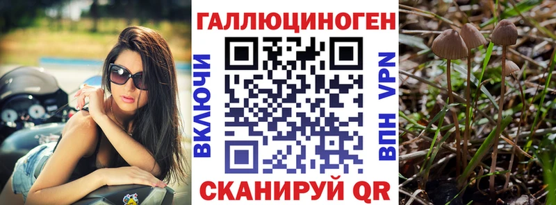 Псилоцибиновые грибы MAGIC MUSHROOMS  где купить наркоту  Верещагино 